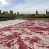 This Year's Met Roof Garden Installation Looks Like A Murder Scene